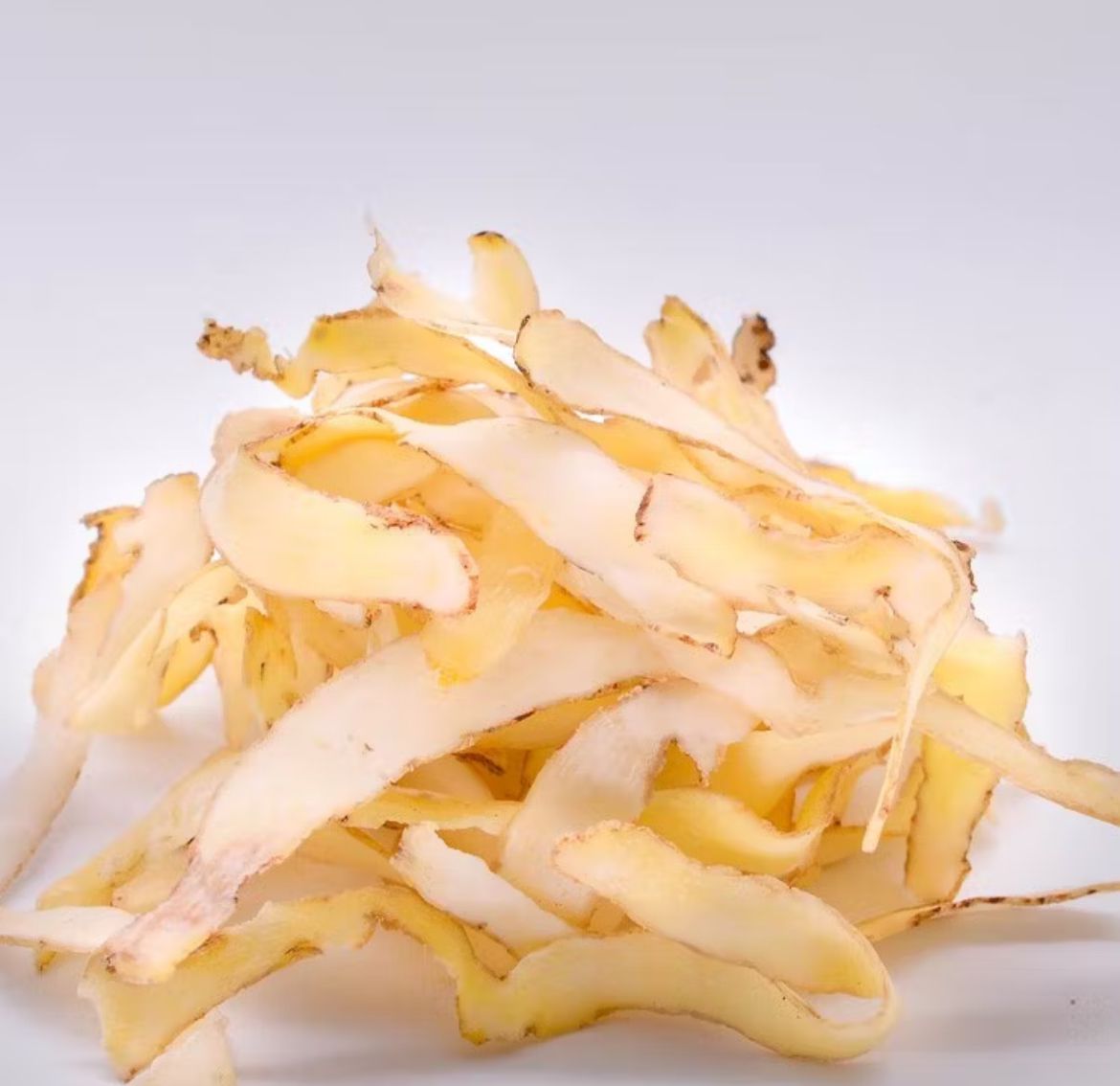 Yu Zhu (Solomon’s Seal Rhizome)